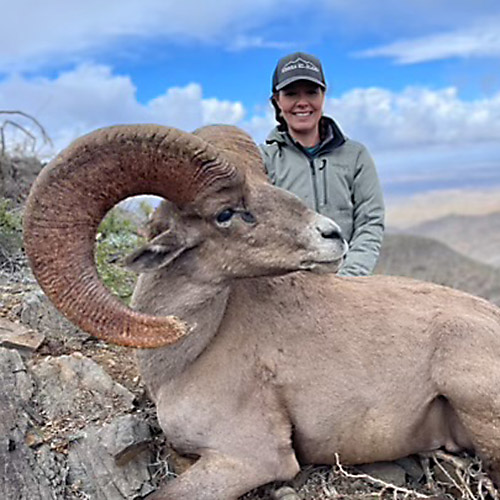 Bralli Clifford with a bighorn ram